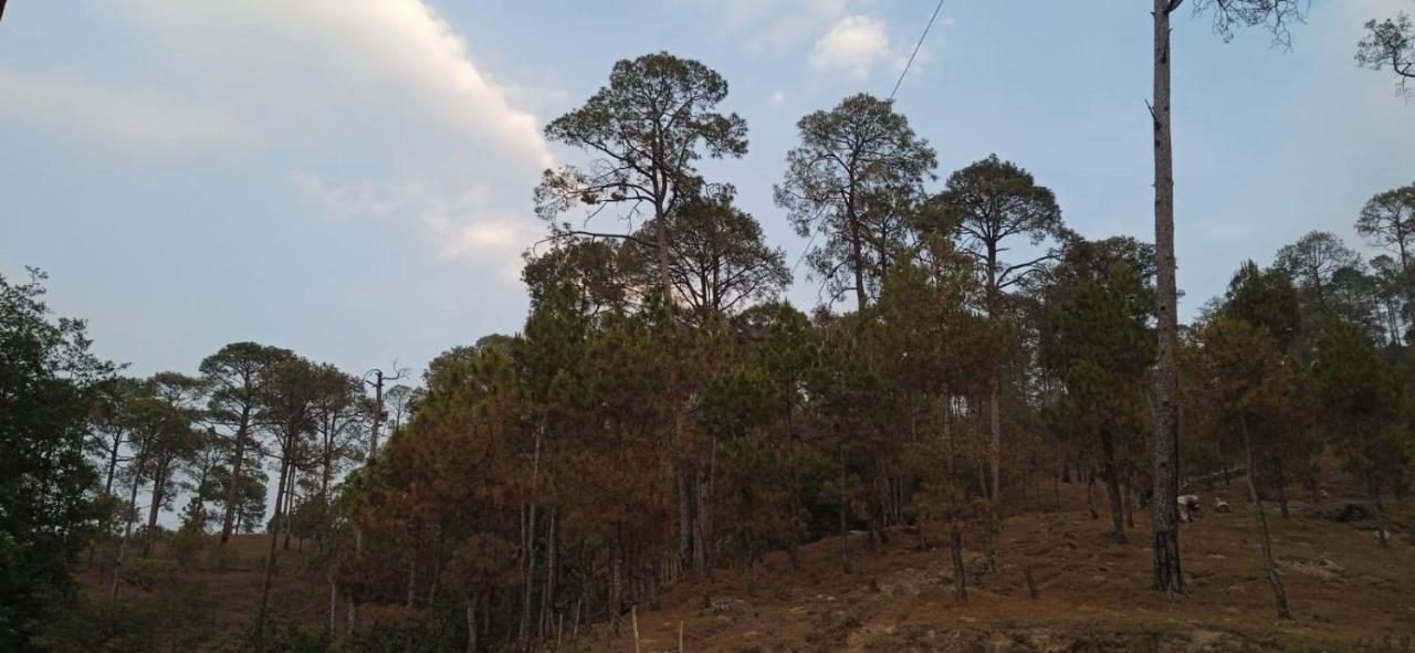 The Ranikhet Continental Hotel Екстериор снимка